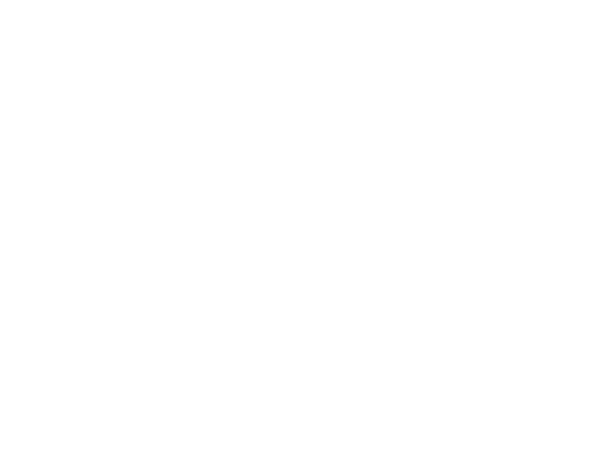 Logo Renan Store